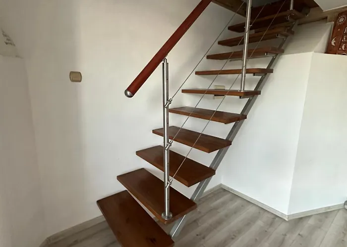 Aesthetic * טיצ'י