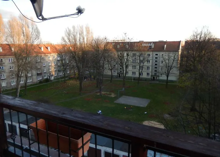 Aesthetic * טיצ'י